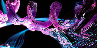 Cagrilintide: A Next-Generation Peptide for Weight Management