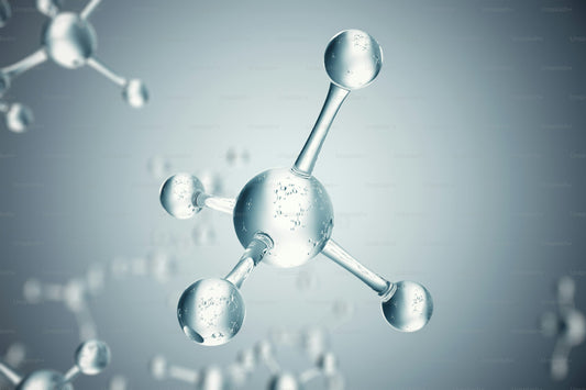 Amino Acids: The Building Blocks of Life