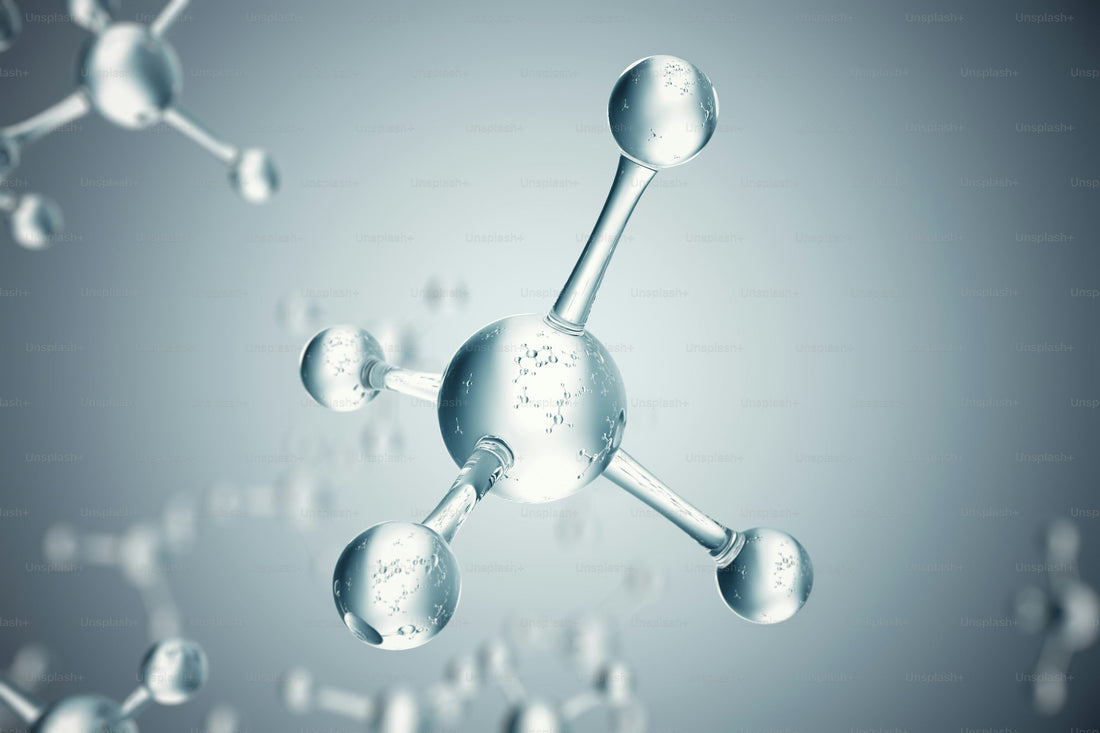 Amino Acids: The Building Blocks of Life